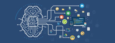 We Peer Into the Crystal Ball to Find out how AI and Automation Will Change Accounting