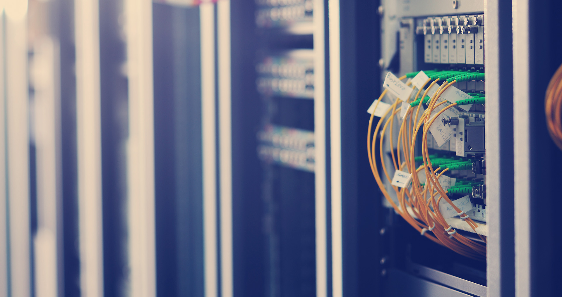 Medical & Healthcare<br />
